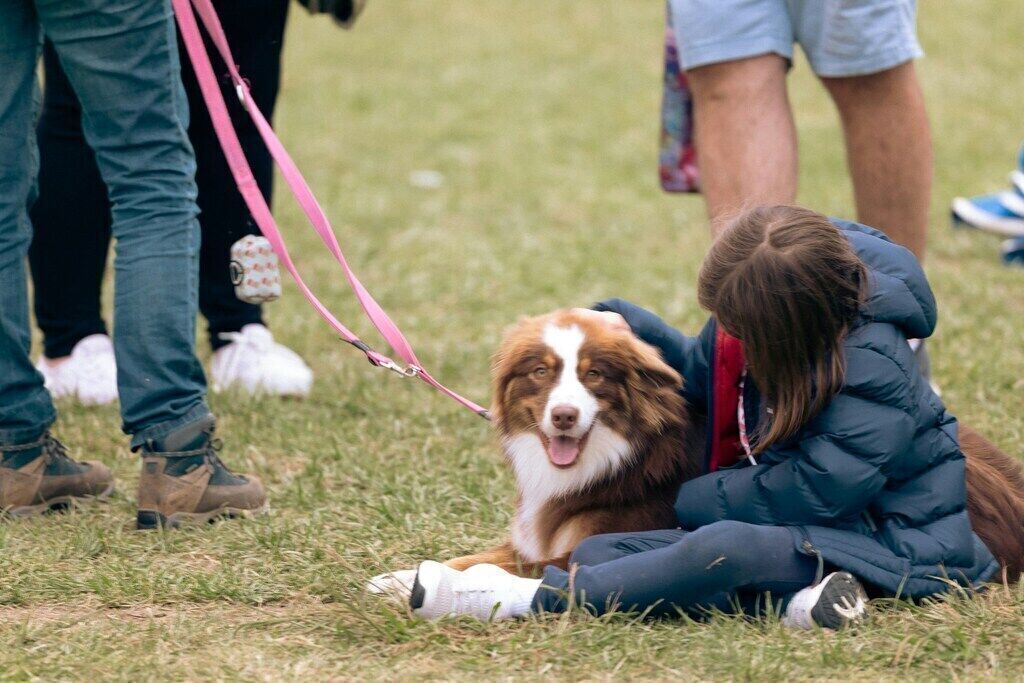 Fun and Safe Activities to Keep Your Pets Mentally Stimulated